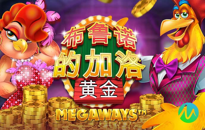 今年会官网APP下载